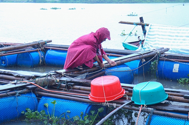 Hà Tĩnh: Tăng cường phòng chống rét trong nuôi trồng thủy sản