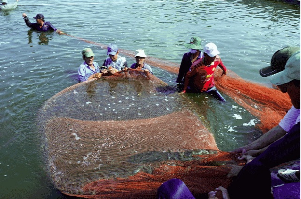 Thách thức mới trong dự báo