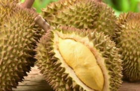 Durian